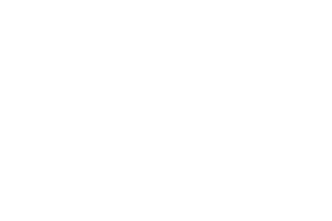 Connelly's Flowers - Logo