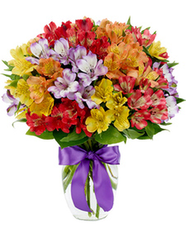 Peruvian Lily Flower Arrangement